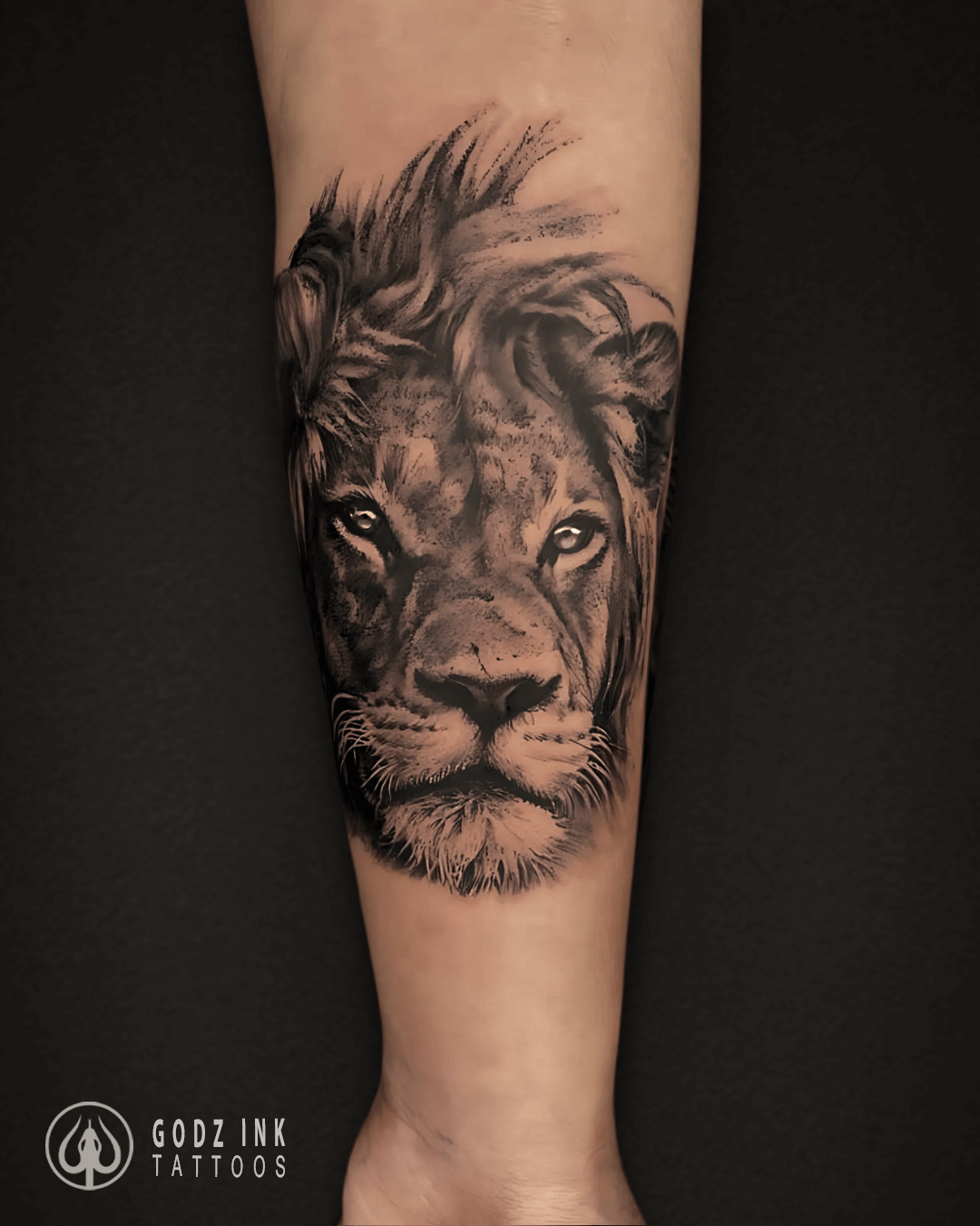 lion 2